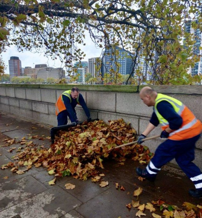 Council workers collecting leaves